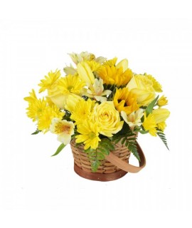 The radius yellow basket